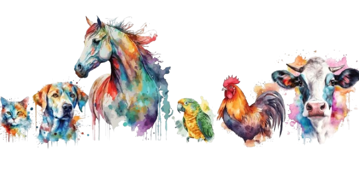 Colorful watercolor portraits of a cat, dog, horse, parrot, rooster, and cow.
